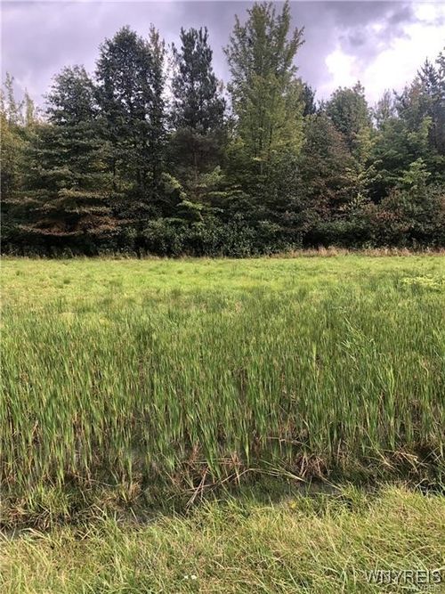 v/l Southwestern Boulevard, Evans, NY, 14006 | Card Image