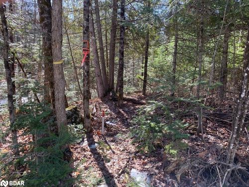 0 Rose Island Rd, Coe Hill, ON, K0L1P0 | Card Image