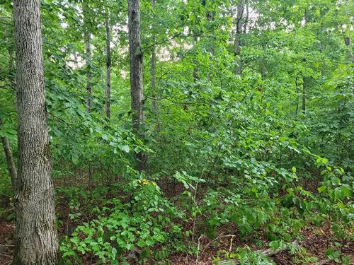 2 Haley Rd, Wartrace, TN, 37183 | Card Image