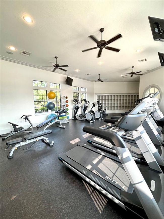 Stay active and energized at the Clubhouse Gym in The Falls at Imperial Oaks—featuring modern cardio machines, strength training equipment, free weights, and a bright, inviting space designed for your fitness goals. | Image 46