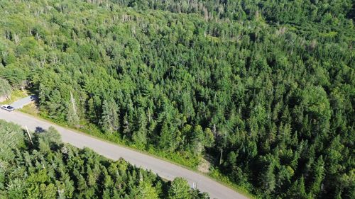 CG19-2 Hiram Lynds Rd, Central North River, NS, B6L6K2 | Card Image