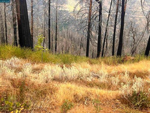 4025 Volcanoville Rd, Georgetown, CA, 95634-9797 | Card Image