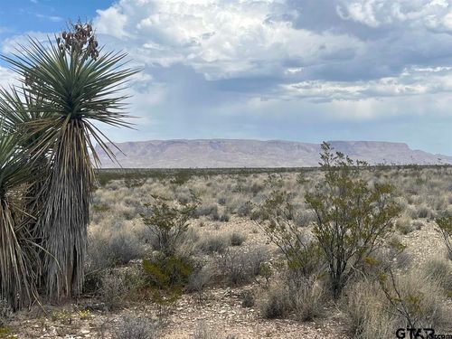 14359 Blue Dawg, Terlingua, TX, 79852 | Card Image