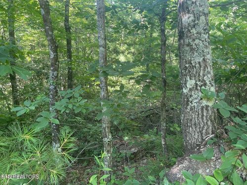 Lot 71 Hazelnut Ln, Sevierville, TN, 37862 | Card Image