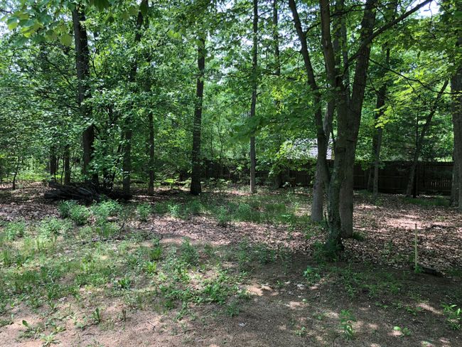 699 E White Lake Dr, House other with 3 bedrooms, 1 bathrooms and null parking in Twin Lake MI | Image 19