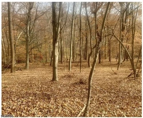 85 Cherryville Hollow Rd, Flemington, NJ, 08822-5530 | Card Image