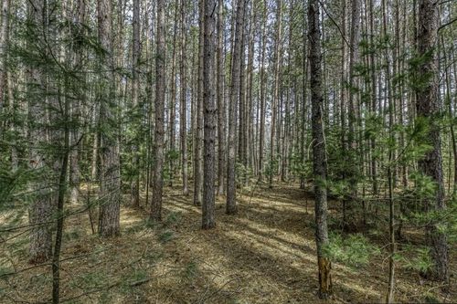 Lot 2 Curtis Lake Dr, Minocqua, WI, 54548 | Card Image