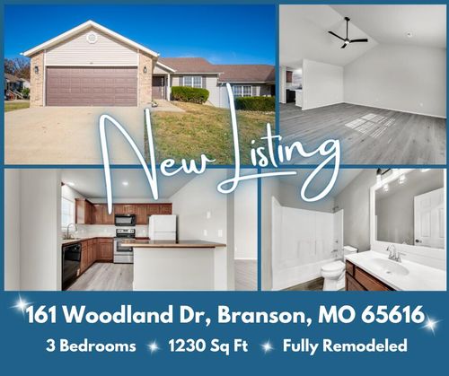 161 Woodland Dr N, Branson, MO, 65616-8820 | Card Image