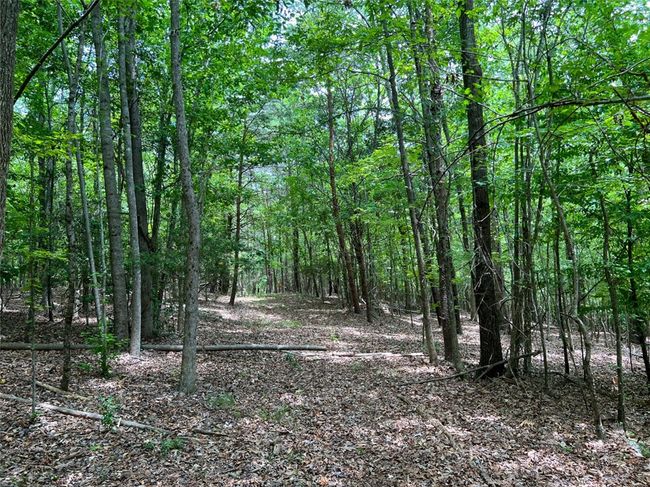 B - 00 Quarter Round Rd, Home with 0 bedrooms, 0 bathrooms and null parking in pacolet SC | Image 22