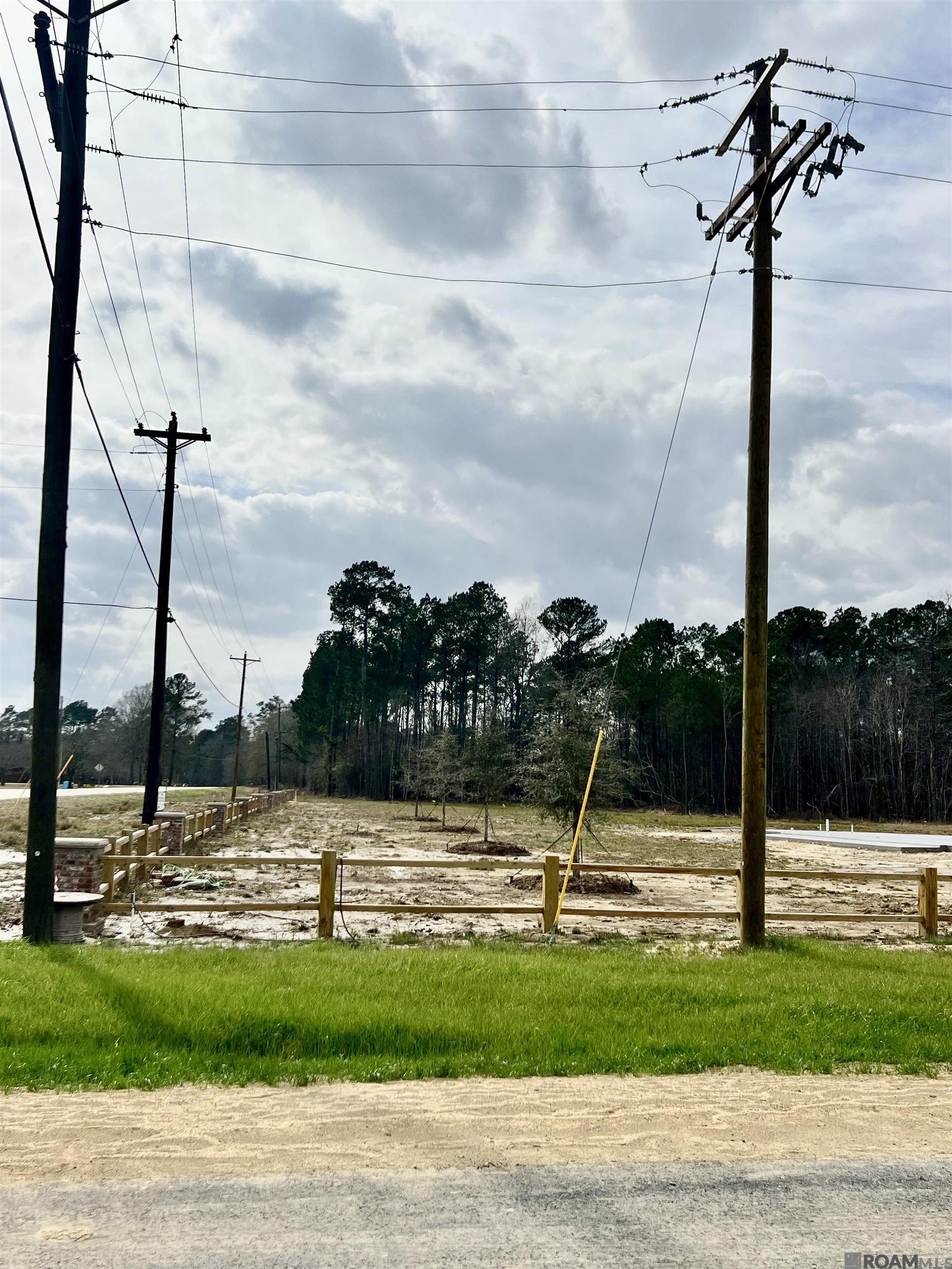 Land in Livingston 5