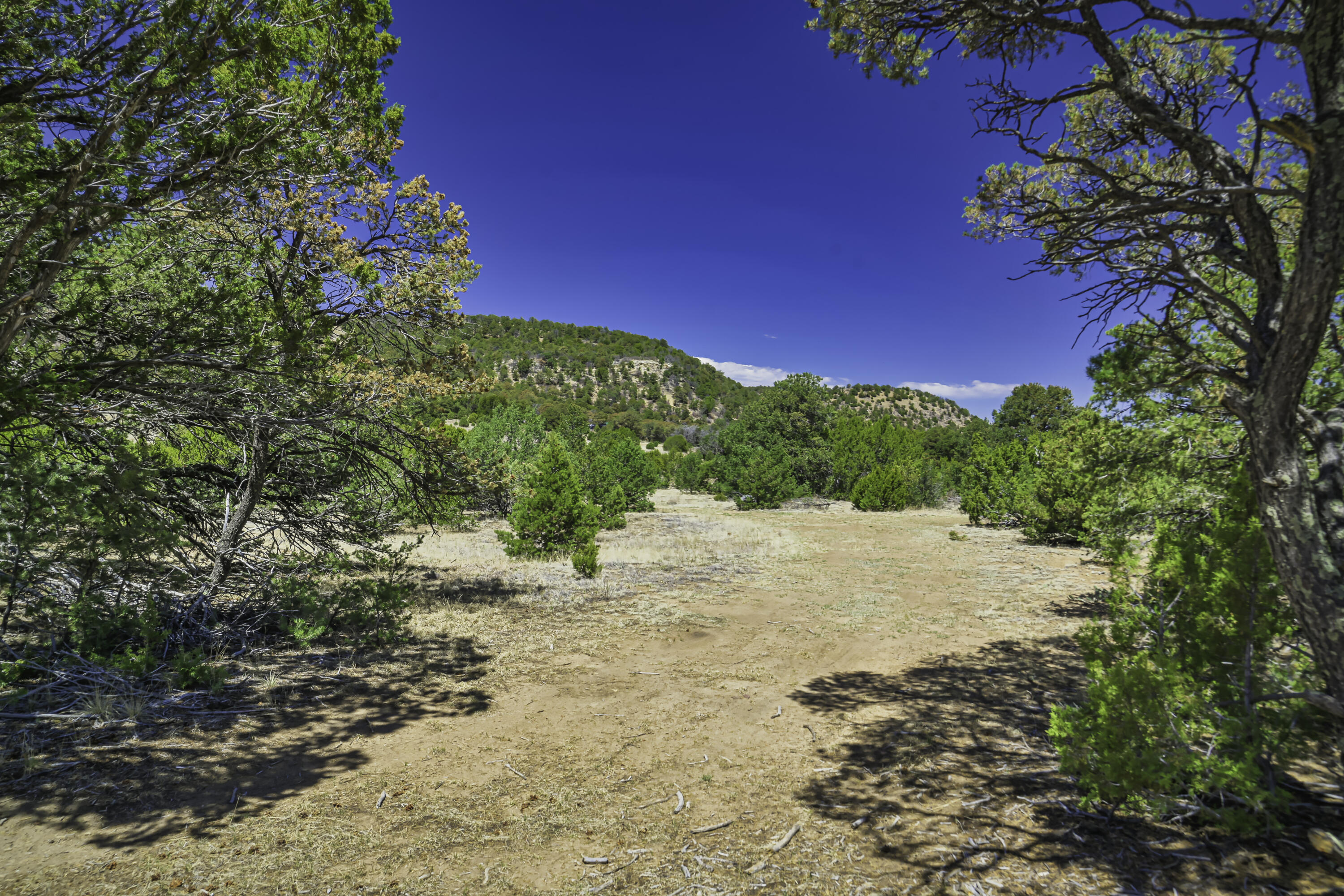 Land in Aguilar 2