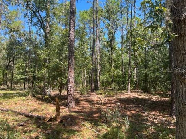 00 Sw 84th Loop, Home with 0 bedrooms, 0 bathrooms and null parking in Dunnellon FL | Image 5