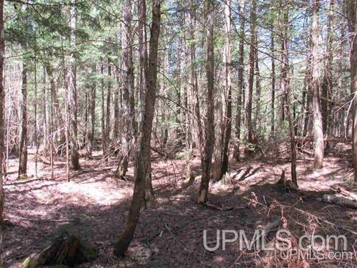 TBD Off Klingville Road, Chassell, MI, 49916 | Card Image