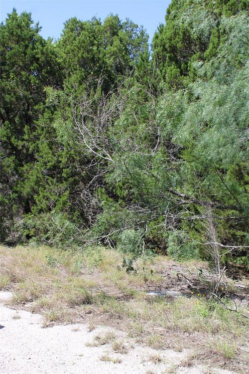 8200 Cedar Glen Cv, Leander, TX, 78645 | Card Image