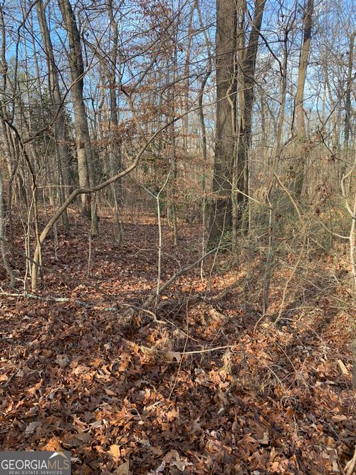 0 Tanglewood Dr, Royston, GA, 30662 | Card Image