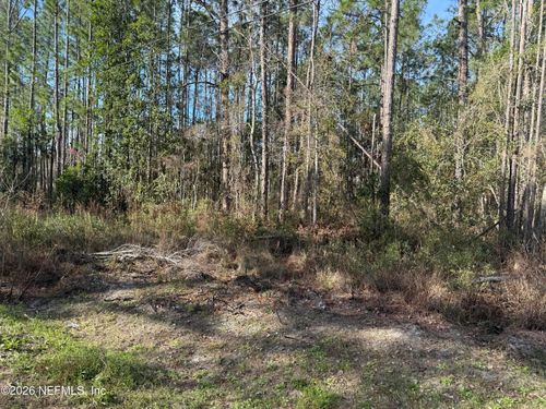 0 Wolf Trl, Middleburg, FL, 32068 | Card Image
