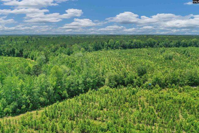0000 N Brewington Rd, Home with 0 bedrooms, 0 bathrooms and null parking in Manning SC | Image 34