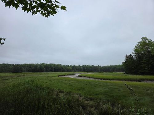 Lot 175 Poplar Ln, Milbridge, ME, 04658 | Card Image