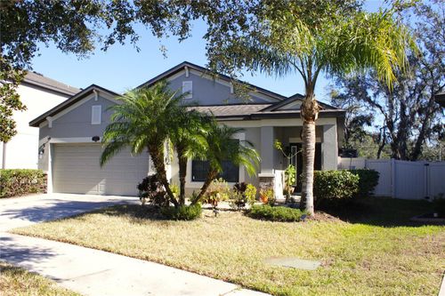 11652 Palmetto Pine Street, RIVERVIEW, FL, 33569 | Card Image