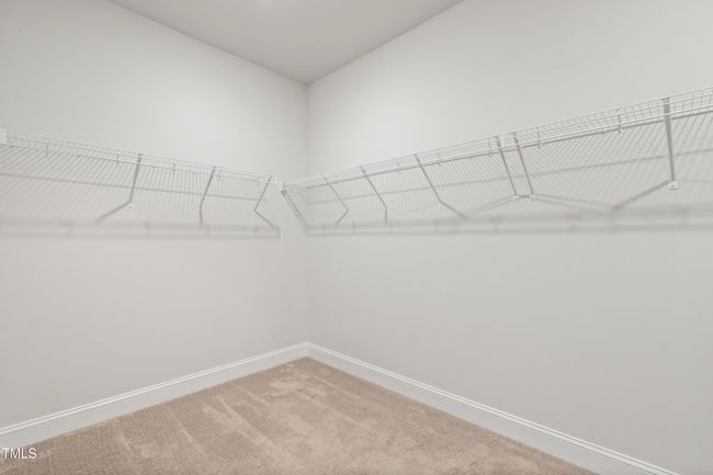 48 | Image 48