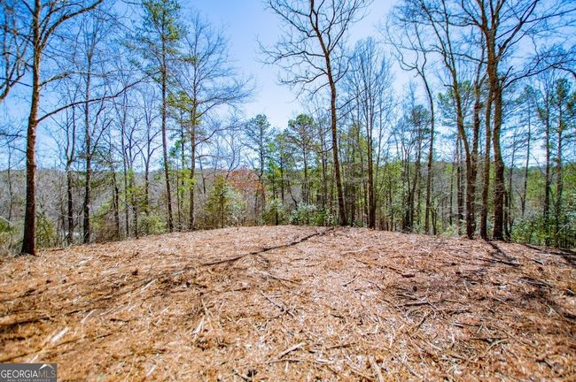 0 County Road 269, Home with 0 bedrooms, 0 bathrooms and null parking in Wedowee AL | Image 8