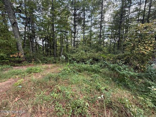 183 Mundy Road, Marble, NC, 28905 | Card Image