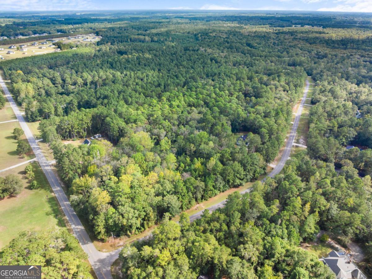 Land in Statesboro 2