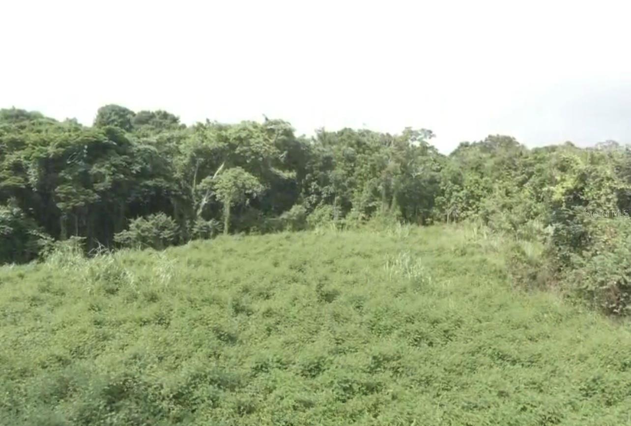 Land en venta en RIO GRANDE, EL ZARZAL