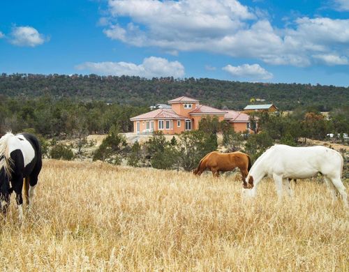 38150 Polson Rd, Crawford, CO, 81415-9410 | Card Image