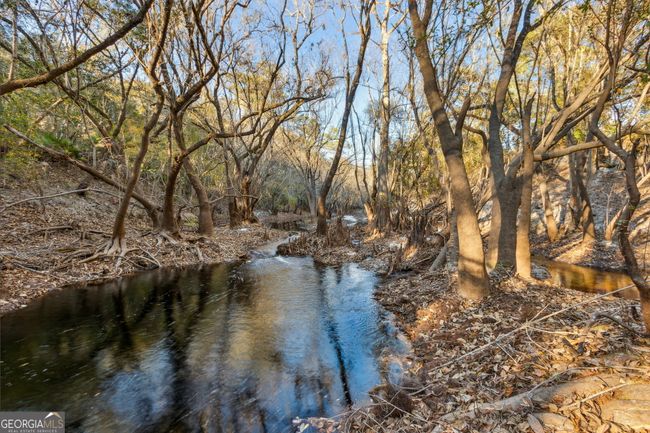 0 Highway 185, Home with 0 bedrooms, 0 bathrooms and null parking in Saint George GA | Image 16