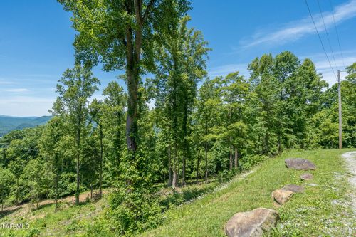 4-4 Ridgetop Lane, Unicoi, TN, 37692 | Card Image