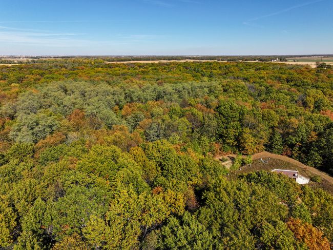 802 Union Rd, House other with 4 bedrooms, 2 bathrooms and 4 parking in Harmon IL | Image 52
