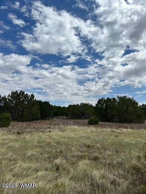 TBD N3109, Vernon, AZ, 85940 | Card Image
