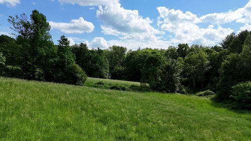 0 Brooks Pond Rd, Spencer, MA, 01562 | Card Image