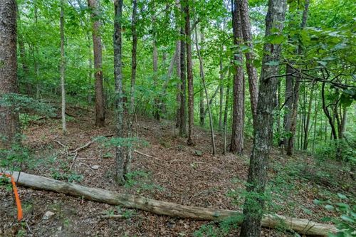 Lot 6 Heatherwood Way, Talking Rock, GA, 30175 | Card Image