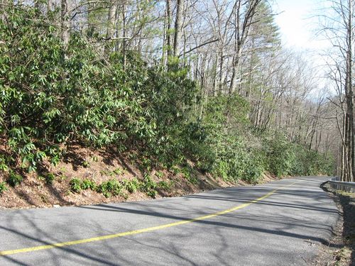 TBD Cascade Trail, Fancy Gap, VA, 24328 | Card Image