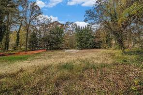 Land in Stone Mountain 5