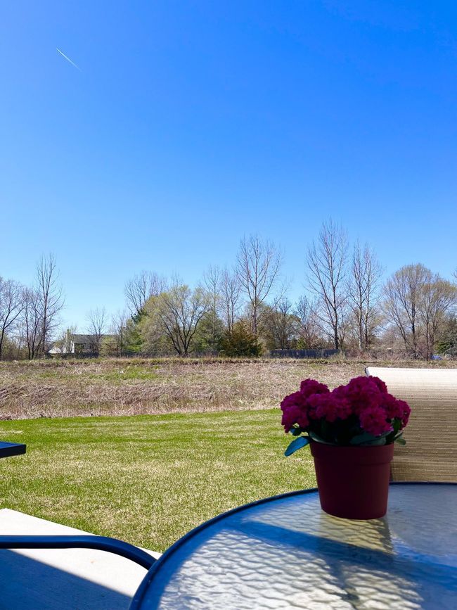 8757 Parkington Ave Ne, Townhouse with 3 bedrooms, 3 bathrooms and null parking in Elk River MN | Image 30