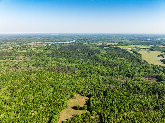 1 County Rd, Home with 0 bedrooms, 0 bathrooms and null parking in Leesburg TX | Image 29