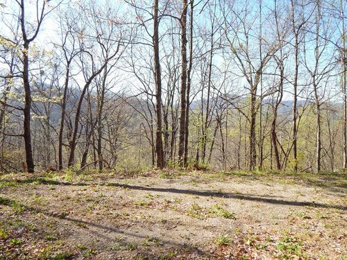 #11-2&12 Treetop Dr, Hayesville, NC, 28904 | Card Image