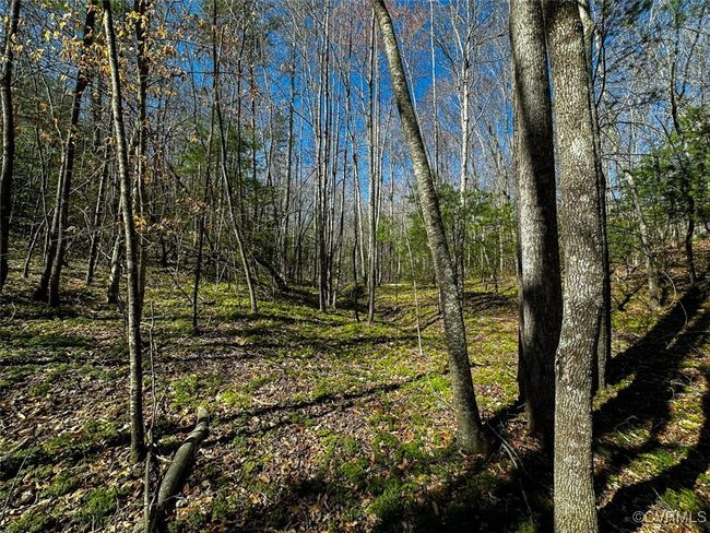 41.18 Acres (Off Of) Pole Bridge Rd, Home with 0 bedrooms, 0 bathrooms and null parking in Stuart VA | Image 20
