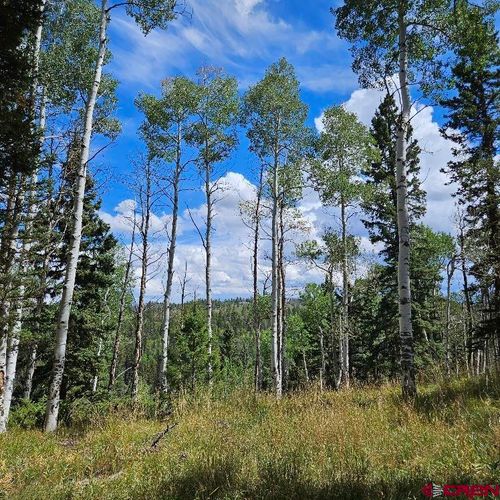604 Snowshoe Ln, Cimarron, CO, 81220-9537 | Card Image