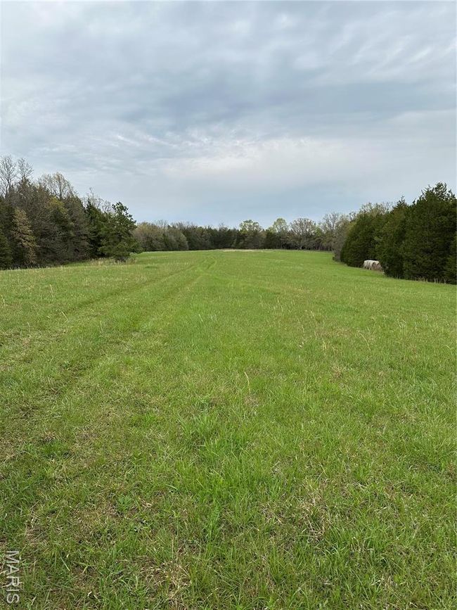 0 Butcher Branch Rd, Home with 0 bedrooms, 0 bathrooms and null parking in Hillsboro MO | Image 7