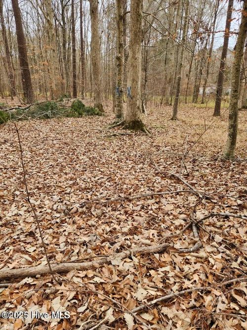 146 Tranquility Ln, Hertford, NC, 27944-9256 | Card Image