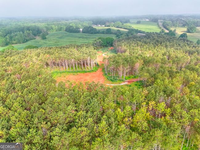686 Cooper Farm Rd, Home with 0 bedrooms, 0 bathrooms and null parking in Nicholson GA | Image 10