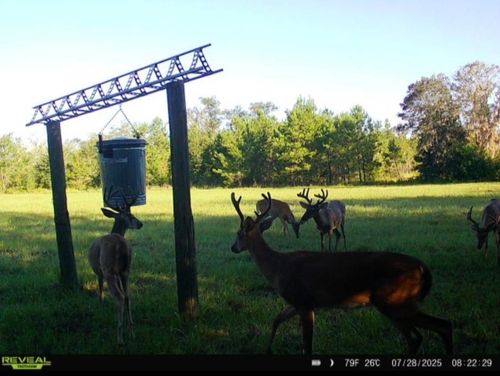 650 Nw Florwers Rd Road, Madison, FL, 32340 | Card Image