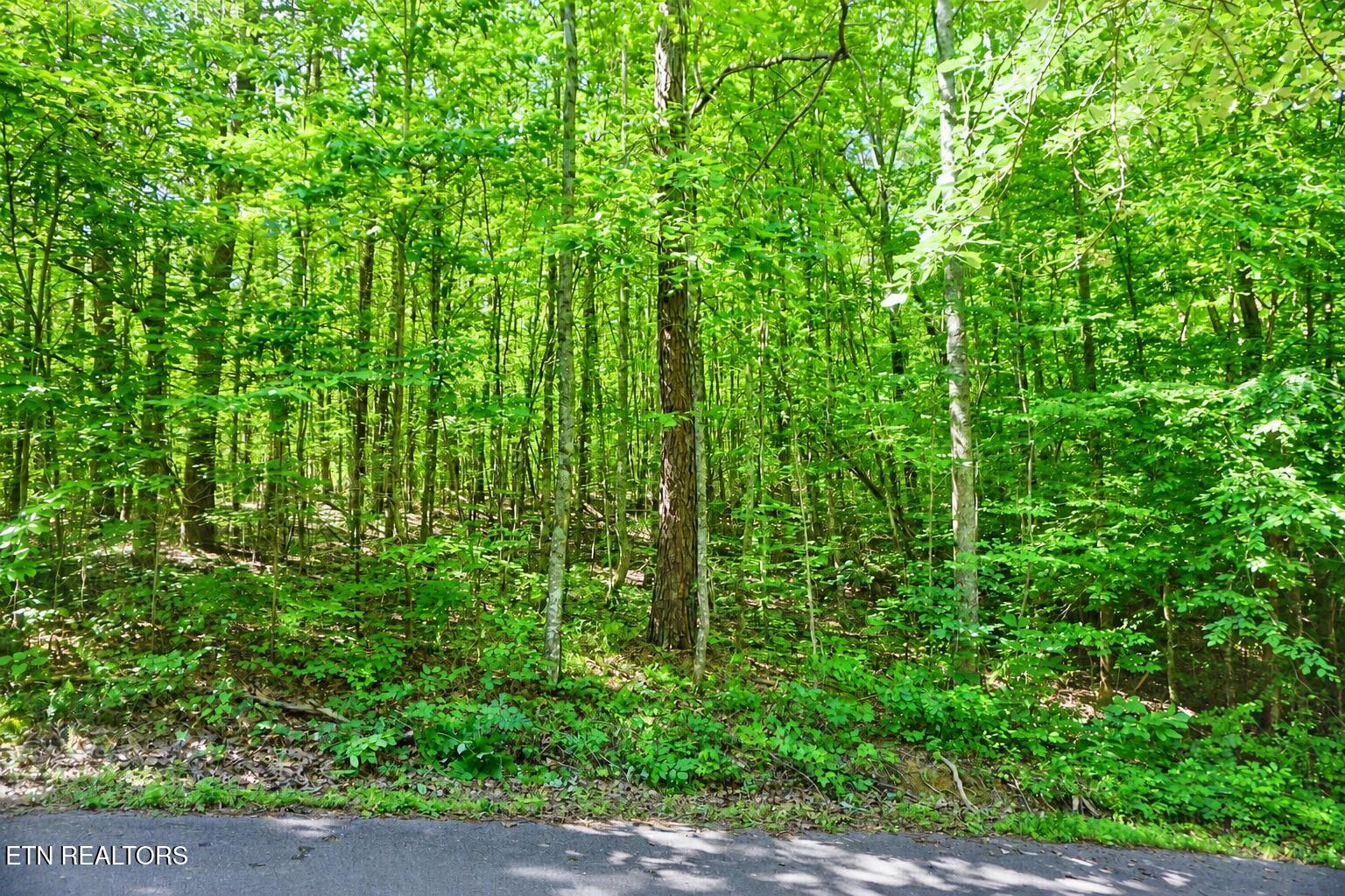 Land in Sevierville 2