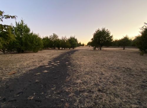 0000 County Road 4519, Wolfe City, TX, 75496 | Card Image