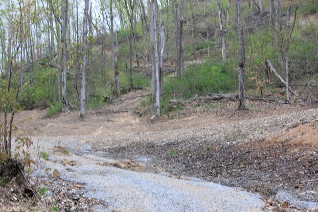 0 Routt Rd, Home with 0 bedrooms, 0 bathrooms and null parking in Wallingford KY | Image 4