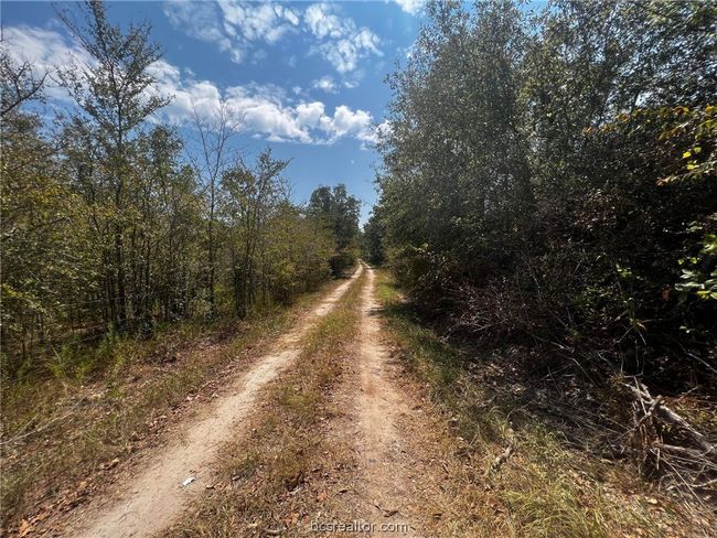 30 Fm 1486, Home with 0 bedrooms, 0 bathrooms and null parking in Richards TX | Image 16
